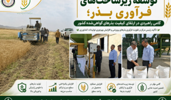 تقویت زیرساخت‌های تحقیقاتی و فرآوری بذر، زمینه‌ساز تولید بذرهای باکیفیت و توسعه کشاورزی دانش‌بنیان است