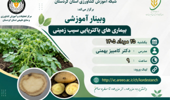 برگزاری وبینار آموزشی «بیماری‌های باکتریایی سیب‌زمینی» در شبکه آموزش کشاورزی استان کردستان