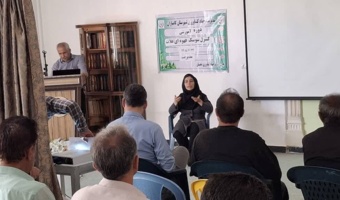 دانش تخصصی در خدمت مدیریت یکی از آفات مهم غلات در کامیاران