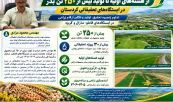 اجرای بیش از ۳۰ پروژه تحقیقاتی و تولید هسته‌های اولیه ده‌ها رقم غلات، حبوبات، دانه‌های روغنی و علوفه‌ای در سال زراعی ۱۴۰۴–۱۴۰۵