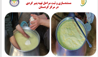 مستندسازی و ثبت مراحل تهیه پنیر کردی در مرکز تحقیقات کردستان