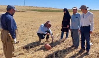 جذب ۳ میلیارد و ۵۷۰ میلیون تومان اعتبار پژوهشی با انعقاد سه قرارداد مطالعاتی در مرکز کردستان