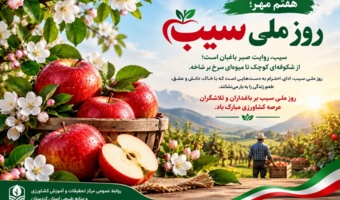 هفتم مهر؛ روز ملی سیب گرامی باد