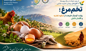 روز جهانی تخم‌مرغ گرامی باد