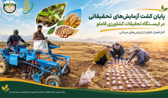 پایان عملیات کشت آزمایش‌های تحقیقاتی در ایستگاه قاملو؛ آغاز فصل تازه‌ای از ارزیابی‌های میدانی