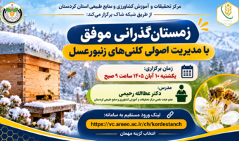 وبینار آموزشی «زمستان‌گذرانی موفق با مدیریت اصولی کلنی‌های زنبورعسل»