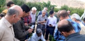 برگزاری دوره آموزشی مهارتی هرس سبز انگور