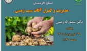 اطلاعیه برگزاری دوره آموزشی مجازی مدیریت آفات سیب‌زمینی