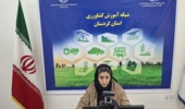 برگزاری دوره آموزشی مجازی «مدیریت و کنترل آفات سیب‌زمینی» در مرکز کردستان