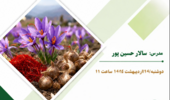 اصول کشت زعفران