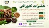 حشرات خوراکی چشم انداز امنیت غذایی انسان و دام