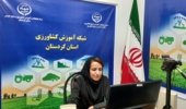 حشرات خوراکی؛ فرصتی نوظهور برای تقویت امنیت غذایی در جهان امروز