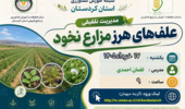 مدیریت تلفیقی علف های هرز نخود