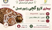 بیماری لارو گچی زنبور عسل؛ شناخت، پیشگیری و مدیریت