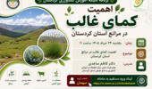 اطلاعیه برگزاری دوره آموزشی تخصصی «اهمیت کمای غالب در مراتع استان کردستان