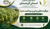 برگزاری دوره آموزشی «مراقبت‌های زراعی و برداشت نخود» در شبکه آموزش کشاورزی استان کردستان