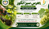 سروآباد میزبان کارگاه تخصصی هرس سبز انگور با تدریس مدرس برجسته ملی