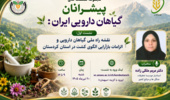 آغاز گفتوگوی ملی برای آینده کشتهای ارزشآفرین