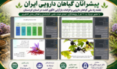 از «نقشه راه ملی» تا «الگوی کشت آینده»؛ نخستین نشست پیشرانان گیاهان دارویی ایران در کردستان برگزار شد