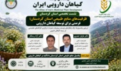 ظرفیتهای منابع طبیعی کردستان؛ فرصتی برای توسعه گیاهان دارویی