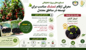 اینفوگرافی معرفی دستاورد پژوهشی توسعه کشت تمشک در مناطق معتدل