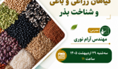 کارگاه تخصصی شناخت بذر و طبقه‌بندی گیاهان در کردستان برگزار می‌شود