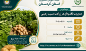 دوره آموزشی «مدیریت تغذیهای در زراعت سیبزمینی» در شبکه آموزش کشاورزی استان کردستان برگزار میشود