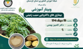 برگزاری وبینار آموزشی «بیماری‌های باکتریایی سیب‌زمینی» در شبکه آموزش کشاورزی استان کردستان