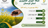 برگزاری وبینار آموزشی «ارتقاء بهره‌وری در زراعت کلزا» در شبکه آموزش کشاورزی کردستان