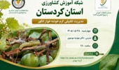 برگزاری وبینار آموزشی «مدیریت تلفیقی کرم خوشه‌خوار انگور» در شبکه آموزش کشاورزی کردستان
