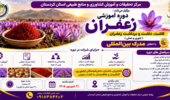 دوره تخصصی «کاشت، داشت و برداشت زعفران» در پردیس آموزش کشاورزی سقز برگزار می‌شود