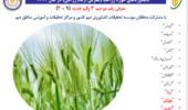 معرفی سه رقم جدید جو دیم با مشارکت محققان مؤسسه تحقیقات کشاورزی دیم کشور و مراکز تحقیقات و آموزش