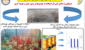 دستاورد تحقیقات علوم دامی کردستان در بررسی کاربرد کومبوچا در تغذیه کلنی‌های زنبور عسل و جیره جوجه‌های آرین