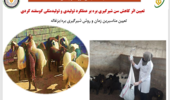 تعیین اثر کاهش سن شیرگیری بره بر عملکرد تولیدی و تولیدمثلی گوسفند کردی