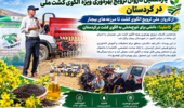 کاملینا در مسیر تنوعبخشی به الگوی کشت