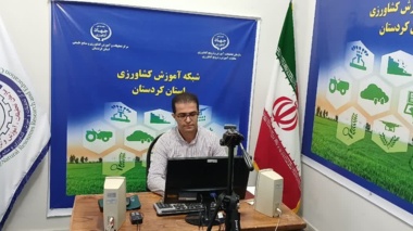گامی به سوی تولید پایدار نخود؛ آموزش مدیریت هوشمند علف‌های هرز