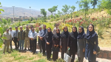 جنگل؛ سرمایه‌ای فراتر از چوب | برگزاری رویداد «روز انتقال یافته‌های تحقیقاتی» با محوریت ارزش‌گذاری خدمات بوم‌سازگان