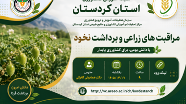 برگزاری دوره آموزشی «مراقبت‌های زراعی و برداشت نخود» در شبکه آموزش کشاورزی استان کردستان