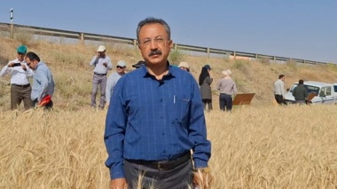 پژوهش در خدمت الگوی کشت؛ تشریح اقدامات مرکز کردستان برای پشتیبانی علمی از تولید