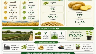 عملکرد واحد استانی ثبت و گواهی بذر و نهال کردستان در سال ۱۴۰۴