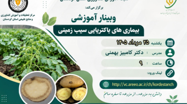 برگزاری وبینار آموزشی «بیماری‌های باکتریایی سیب‌زمینی» در شبکه آموزش کشاورزی استان کردستان