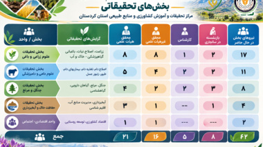 وضعیت نیروی انسانی بخش تحقیقاتی مرکز کردستان