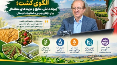 دبیر نظارتی برنامه الگوی کشت، گام‌های علمی مرکز کردستان برای تحقق الگوی کشت را تشریح کرد.