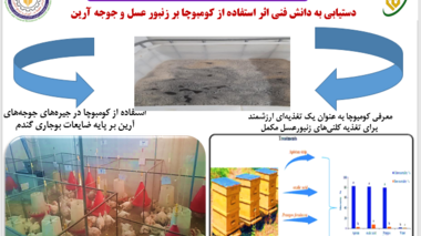 دستاورد تحقیقات علوم دامی کردستان در بررسی کاربرد کومبوچا در تغذیه کلنی‌های زنبور عسل و جیره جوجه‌های آرین