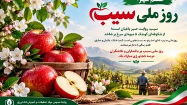 هفتم مهر؛ روز ملی سیب گرامی باد