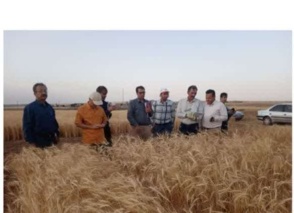 سفر رئیس موسسه دیم کشور، به استان کردستان