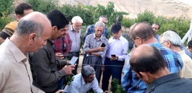 برگزاری دوره آموزشی مهارتی هرس سبز انگور
