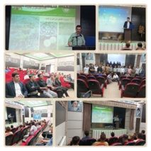 برگزاری کارگاه آموزشی توت‌فرنگی در مریوان