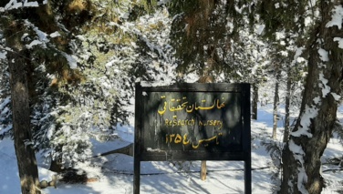 منظره زمستانی مرکز کردستان