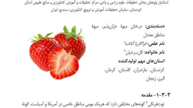 تدوین فصل توت‌فرنگی در کتاب  "شاخص‌های رسیدگی و مراقبت‌های برداشت" توسط پژوهشگر مرکز کردستان